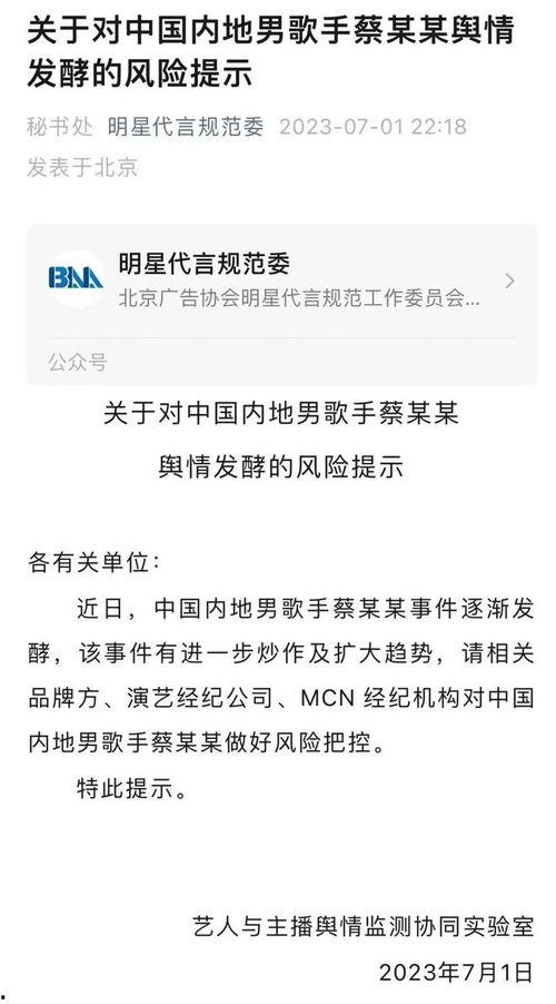 歌手蔡某某爆料视频在线观看,揭秘娱乐圈幕后真相