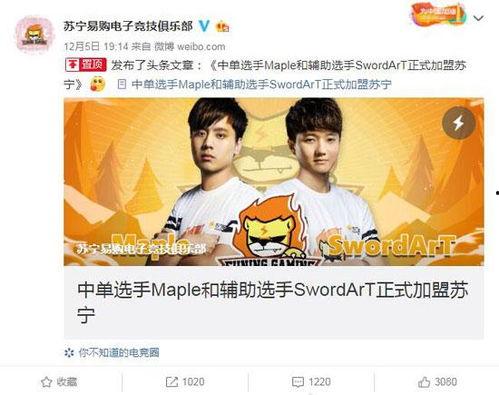 sng最新爆料,揭秘娱乐圈最新动态与幕后故事